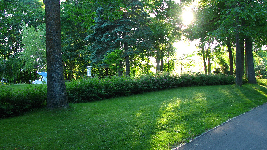 Photo de Bois-des-Filion