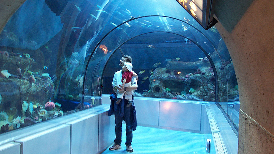 Photo de Aquarium du Québec